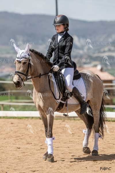 DOMA06042025S-307