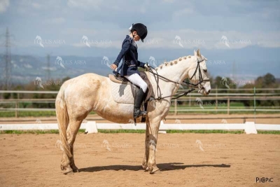 DOMA06042025S-314