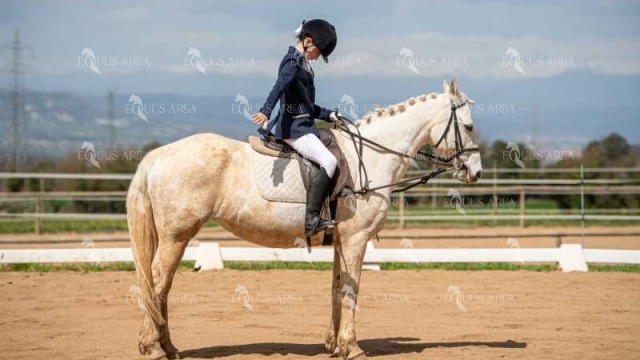 DOMA06042025S-314