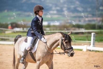 DOMA06042025S-338