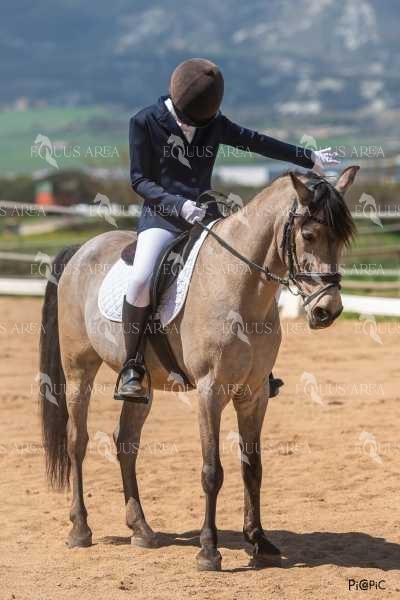 DOMA06042025S-339