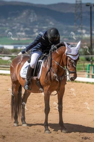 DOMA06042025S-347
