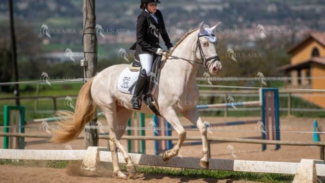 DOMA06042025S-357