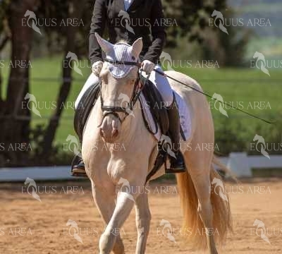 DOMA06042025S-361