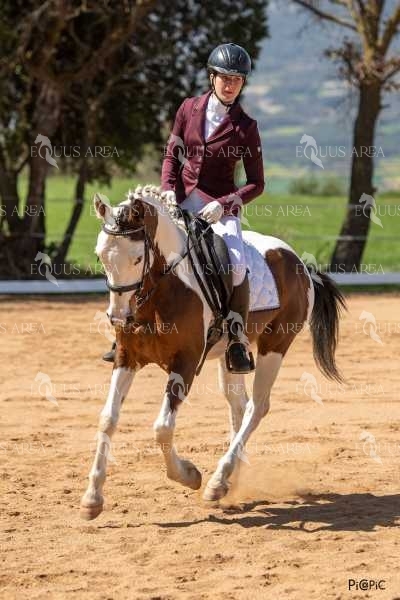 DOMA06042025S-367