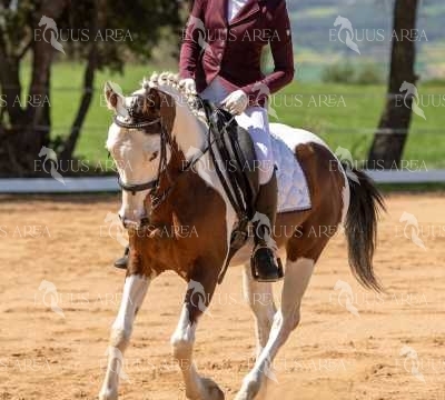 DOMA06042025S-367
