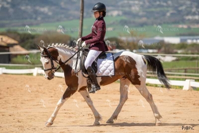 DOMA06042025S-370