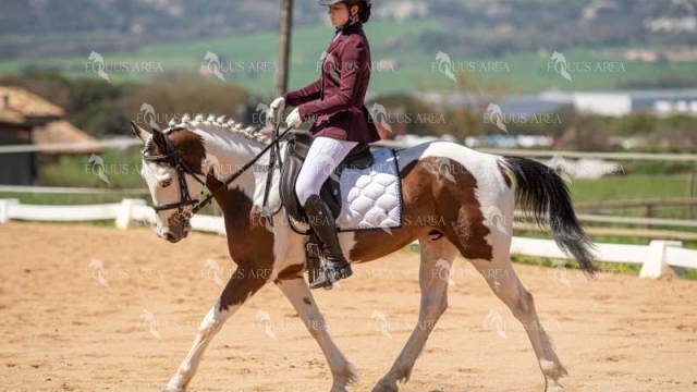 DOMA06042025S-370