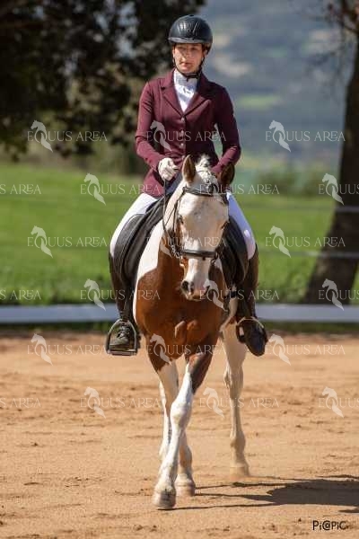 DOMA06042025S-372