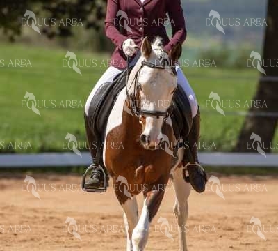 DOMA06042025S-372