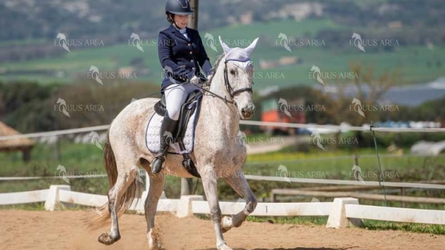 DOMA06042025S-379