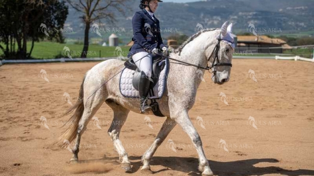 DOMA06042025S-380