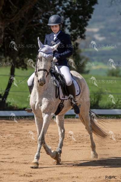 DOMA06042025S-383