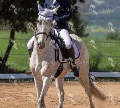 DOMA06042025S-383