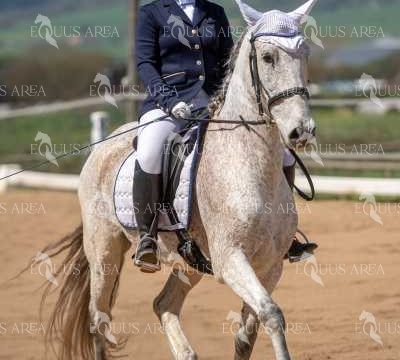 DOMA06042025S-384
