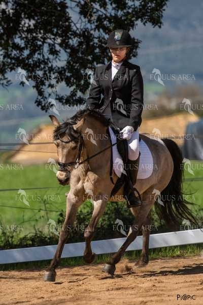DOMA06042025S-406