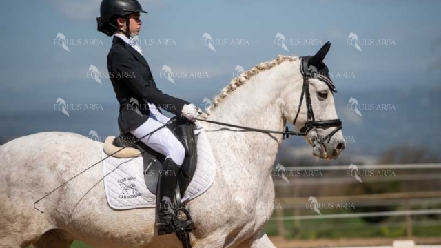DOMA06042025S-422