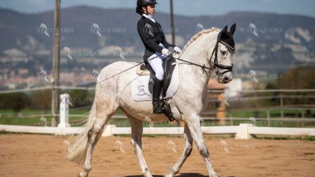 DOMA06042025S-423