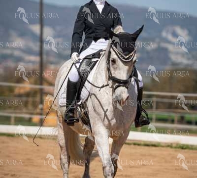 DOMA06042025S-429