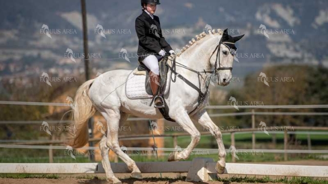 DOMA06042025S-436