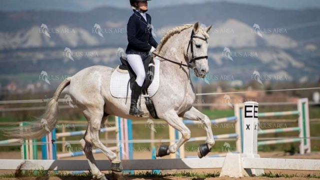DOMA06042025S-472