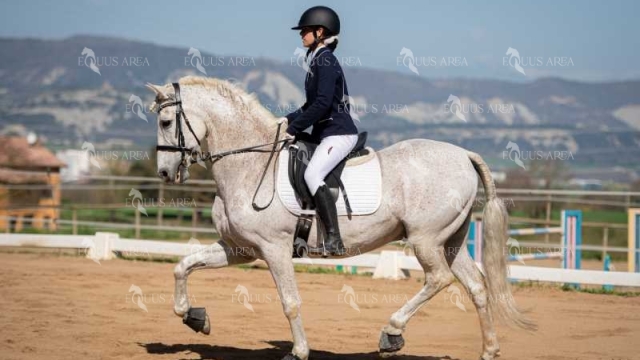 DOMA06042025S-473