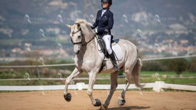 DOMA06042025S-474