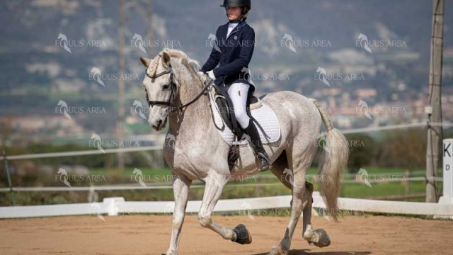 DOMA06042025S-476