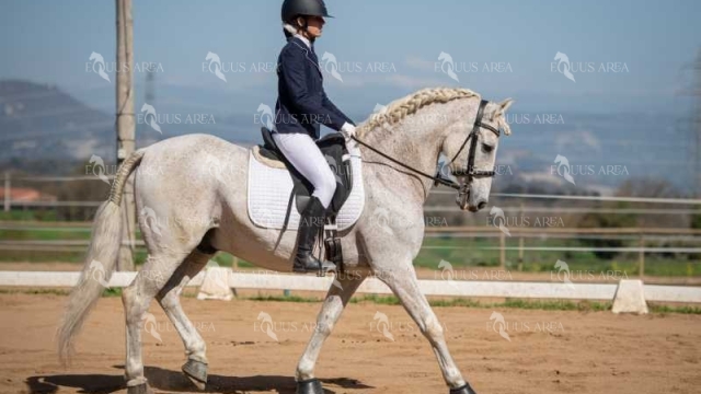 DOMA06042025S-477