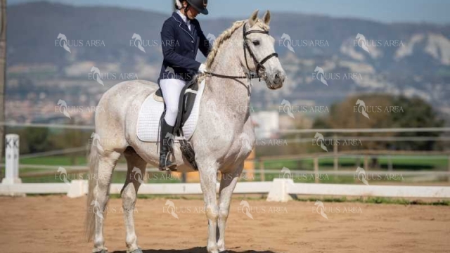 DOMA06042025S-478