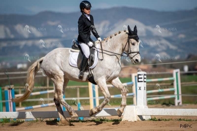 DOMA06042025S-492