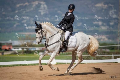 DOMA06042025S-501