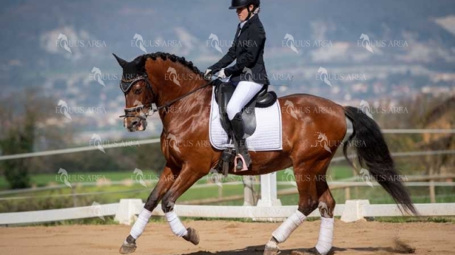 DOMA06042025S-511