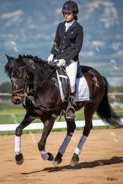 DOMA06042025S-518