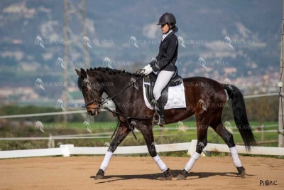 DOMA06042025S-521