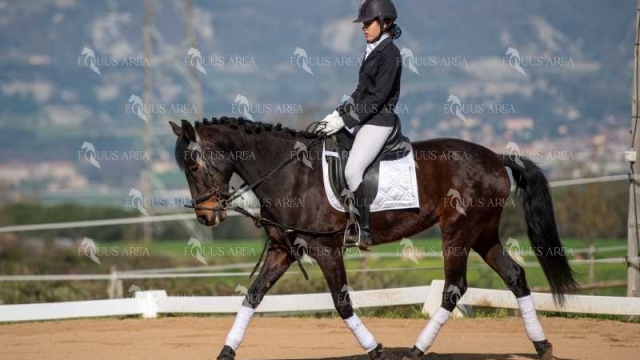 DOMA06042025S-521