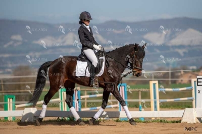 DOMA06042025S-523
