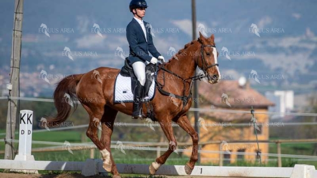 DOMA06042025S-527
