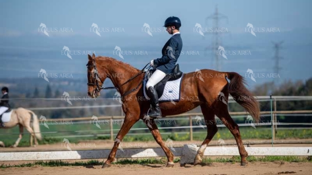 DOMA06042025S-528