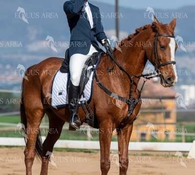 DOMA06042025S-532