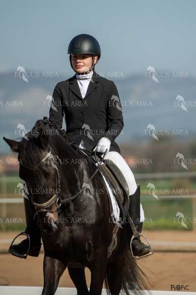 DOMA06042025S-542