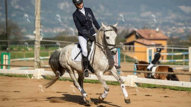 DOMA06042025S-545