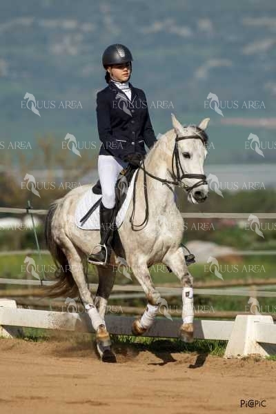 DOMA06042025S-546