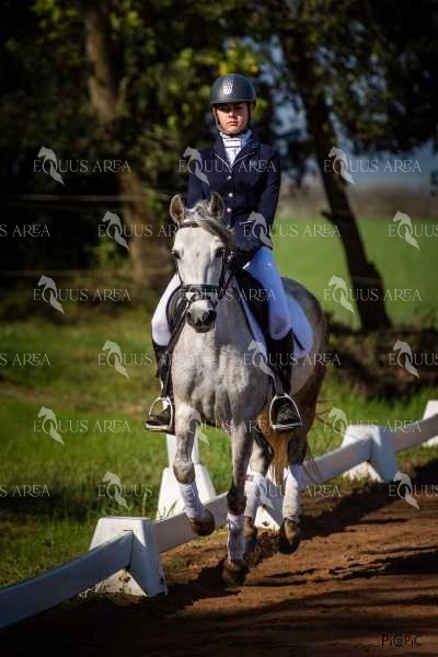 DOMA06042025S-548