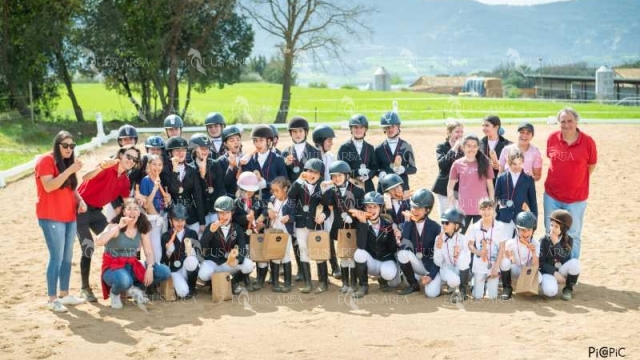 DOMA06042025S-600