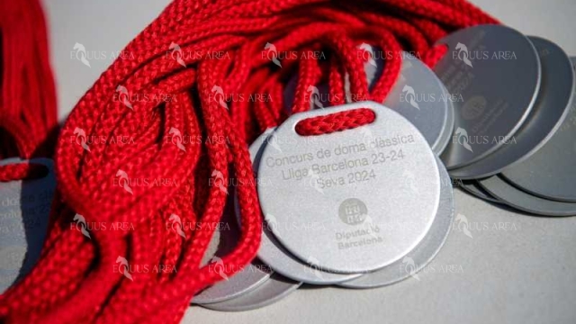 DOMA06042025S-624