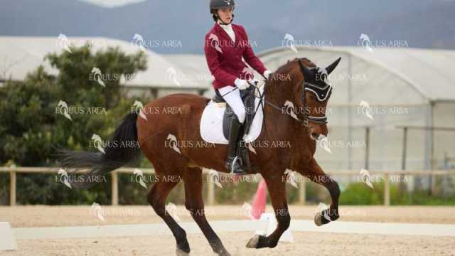 DOMA02032025M-001
