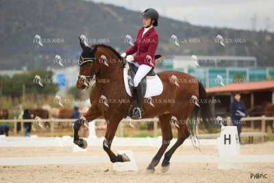 DOMA02032025M-002