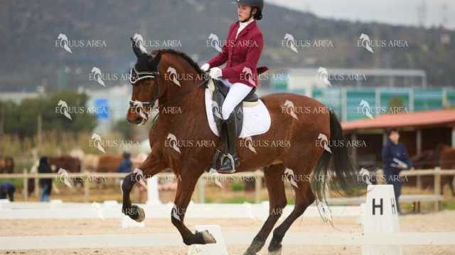 DOMA02032025M-002