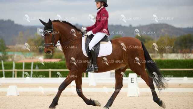 DOMA02032025M-004